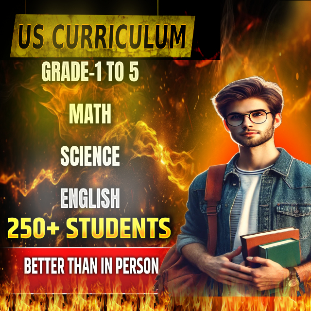 Online Tutor from India to US